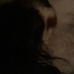 Meet your Posher, Anne